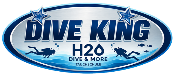 Logo Dive King Online Shop