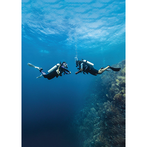 padi-elearning-peak-performance-buoyancy