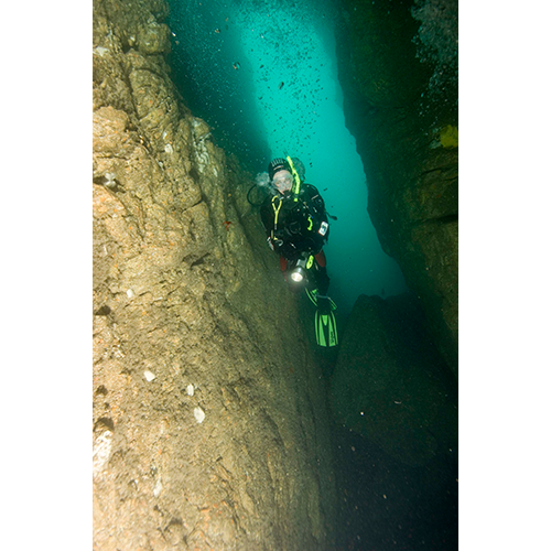 padi-elearning-deep-diver