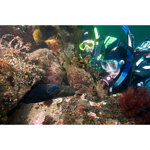 padi-elearning-deep-diver-no-video