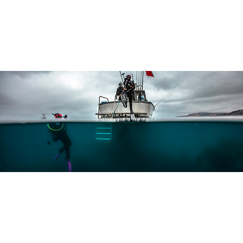 padi-digital-boat-diver-video-student-edition