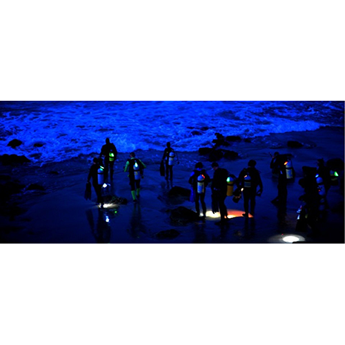 padi-digital-night-diver-video-student-edition