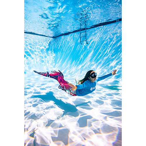 padi-elearning-basic-mermaid