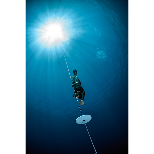 padi-elearning-freediver