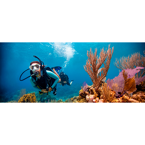 padi-elearning-open-water-diver-no-video